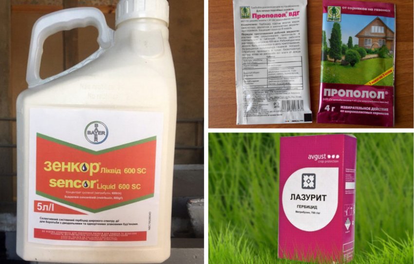 Вибіркові гербіциди