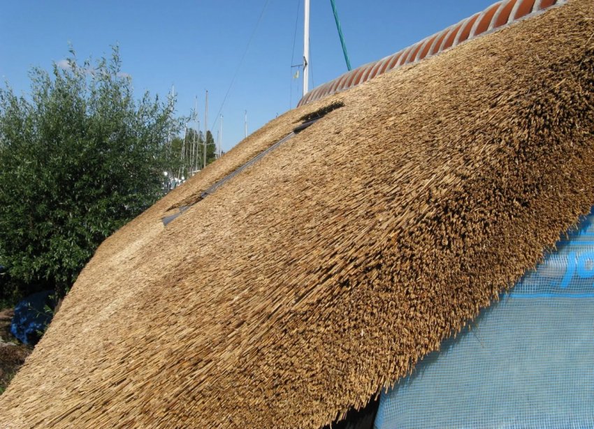 Солом'яне або тростинове покриття Солом'яне або тростинове покриття