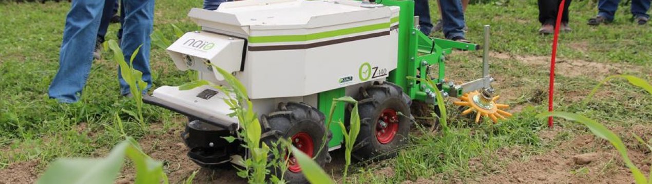 Польові роботи не можуть замінити використання гліфосату