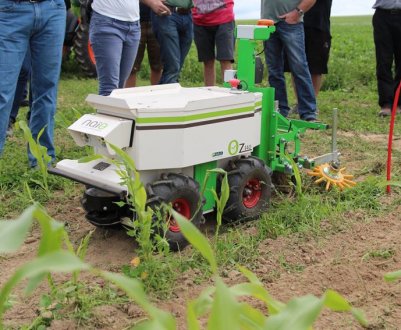 Польові роботи не можуть замінити використання гліфосату