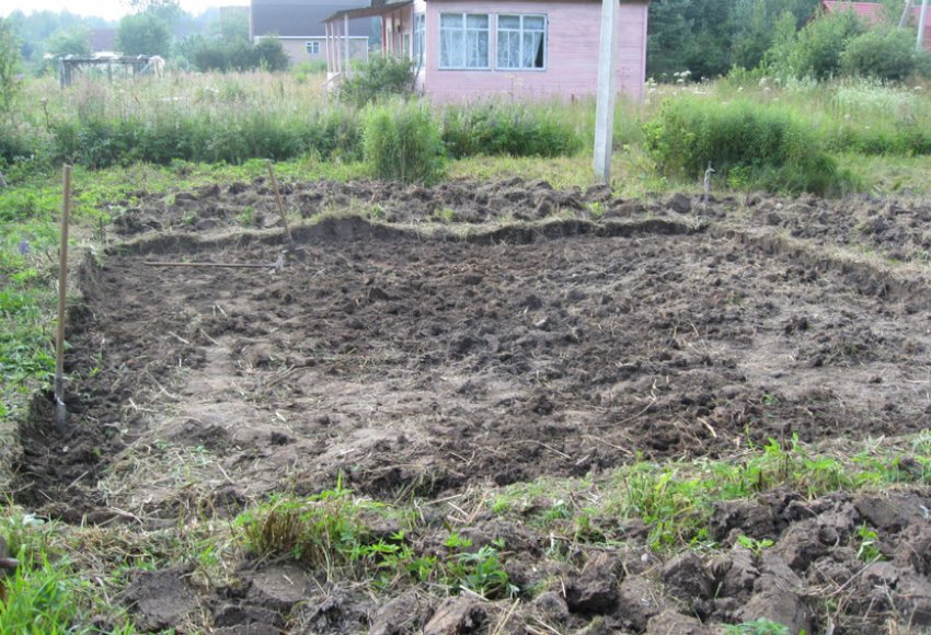 Підготовка ділянки