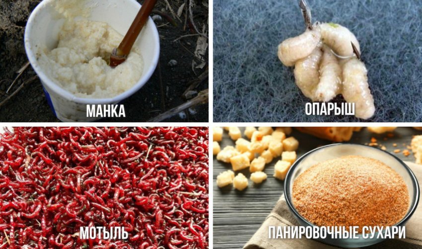 Їжа для карася Їжа для карася