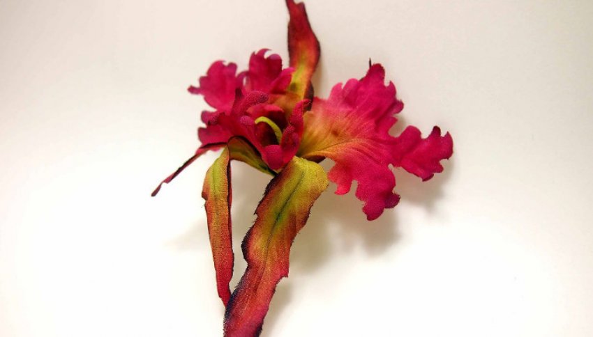 Сандера Сандера