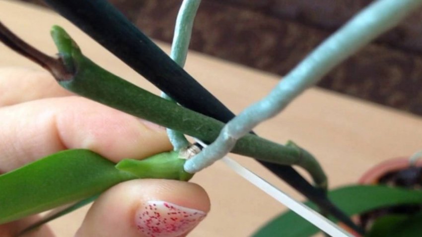 Відділення діток Відділення діток