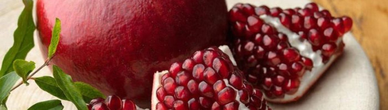 Більше 300 видів екзотичних рослин вирощують черкаські школярі