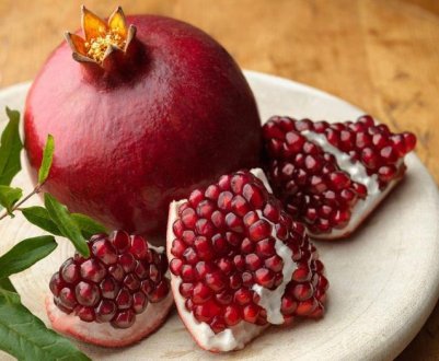 Більше 300 видів екзотичних рослин вирощують черкаські школярі