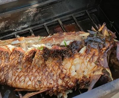 Як приготувати сазана в шарабані