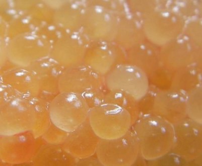 Засолювання ікри карася в домашніх умовах