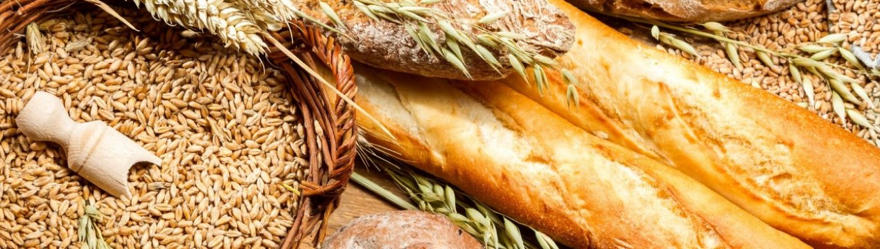 Індійський штат Пенджаб збільшив використання добрив для пшениці у 4200 разів