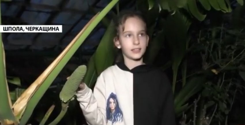 Понад 300 видів екзотичних рослин вирощують черкаські учні Понад 300 видів екзотичних рослин вирощують черкаські учні