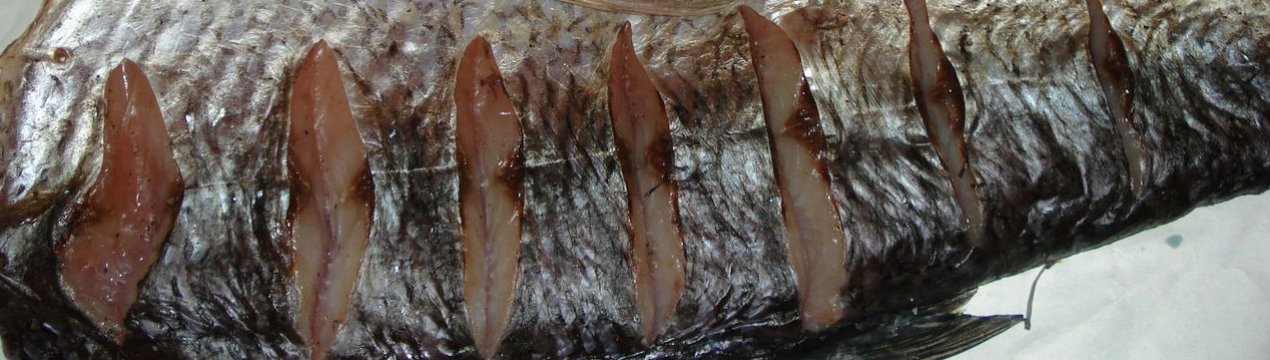 Засолювання жереха в домашніх умовах