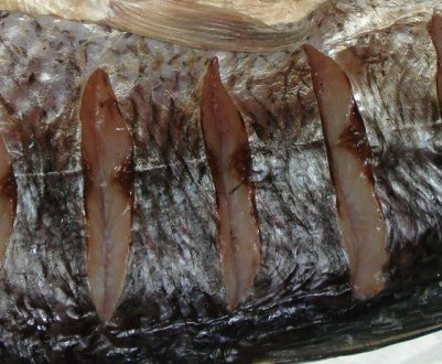 Засолювання жереха в домашніх умовах