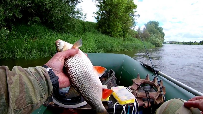 Ловля головня з човна