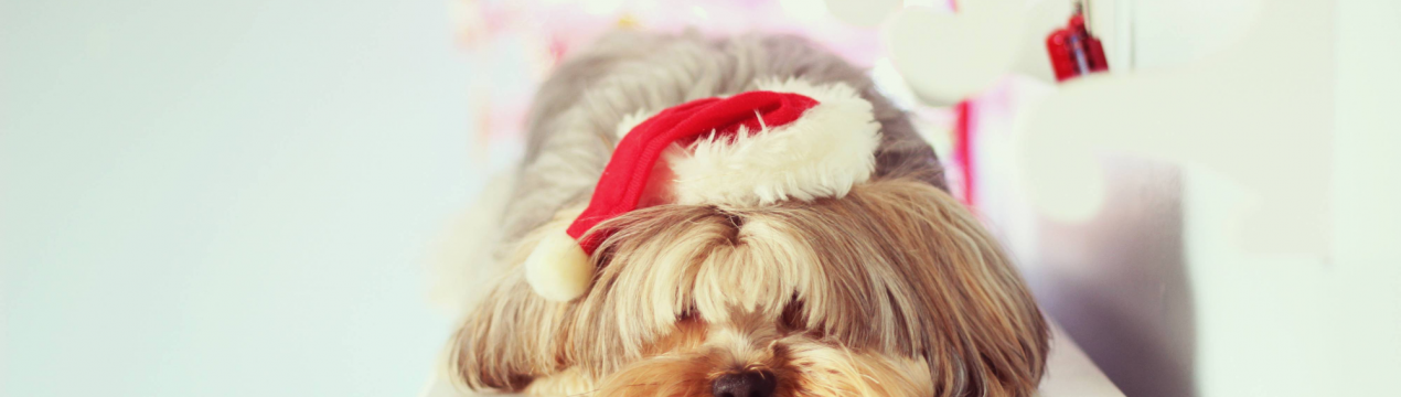 Є життя після свят: відновлюємося після новорічного марафону