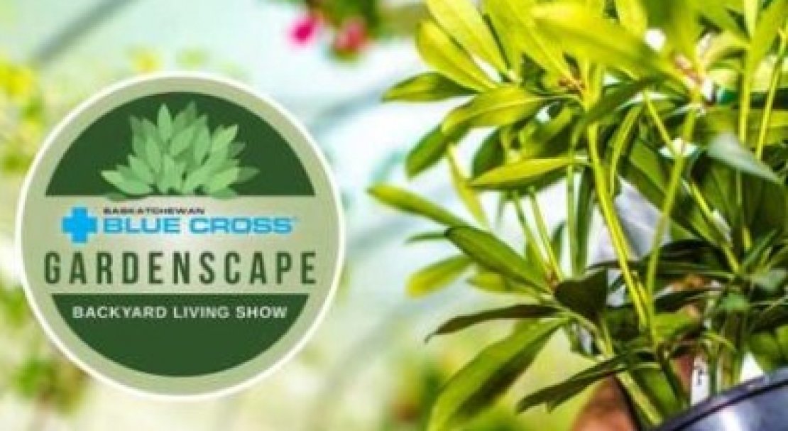 Saskatchewan Blue Cross Gardenscape 2020
