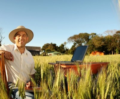 Голландські фермери отримують листи з загрозами від екстремістів