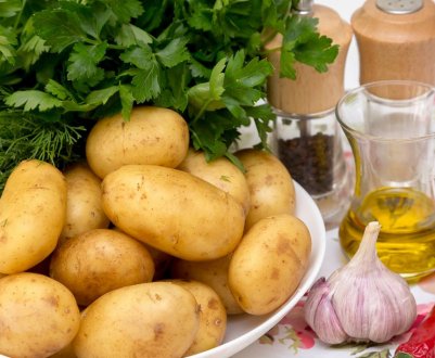 Російський Держреєстр збагатиться 30 новими сортами картоплі