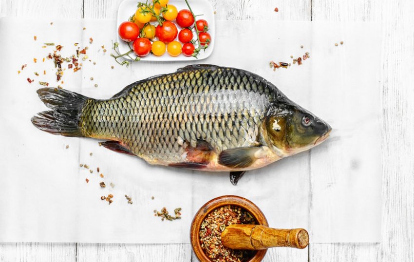 Свіжий карась