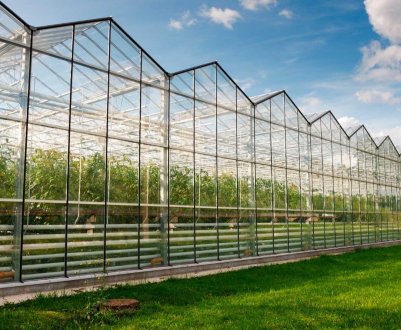 Компанія з Нідерландів побудує теплиці в Казахстані