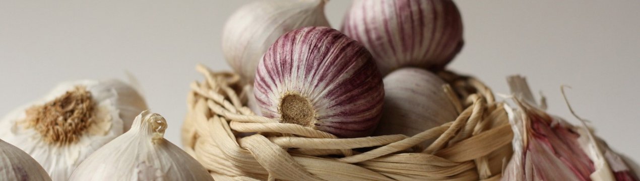 В Україні вирощують все більше часнику