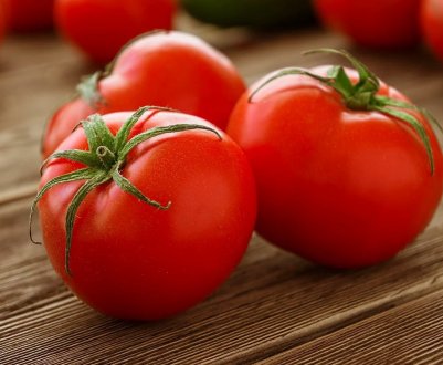 Испанские фермеры скармливают скоту выращенные томаты