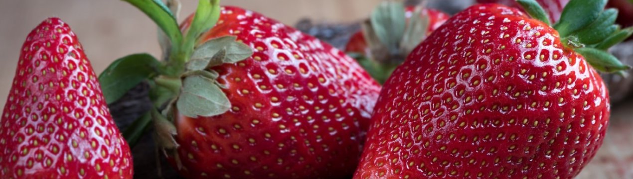 В Хабаровську почнуть вирощувати японську полуницю