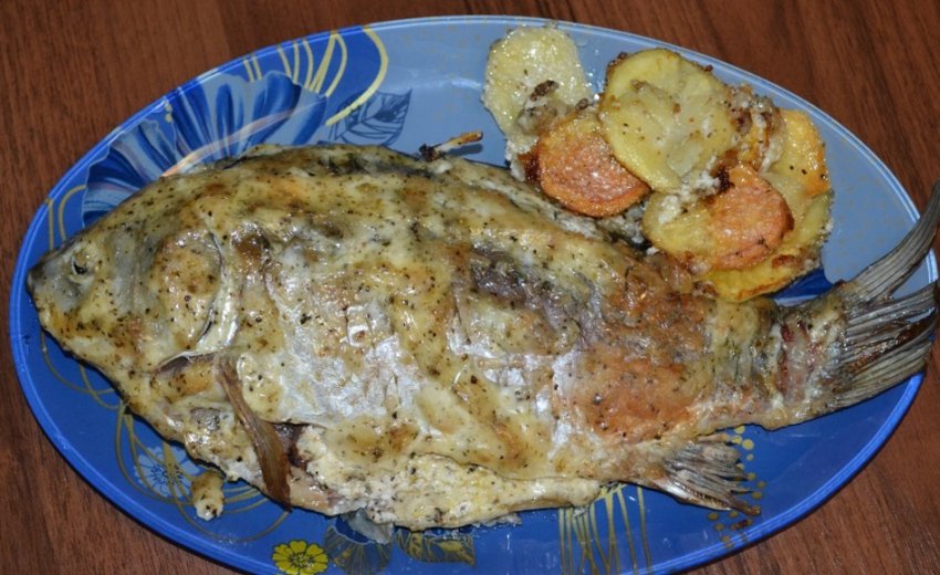 карась в духовке рецепты с картошкой. Смотреть фото карась в духовке рецепты с картошкой. Смотреть картинку карась в духовке рецепты с картошкой. Картинка про карась в духовке рецепты с картошкой. Фото карась в духовке рецепты с картошкой