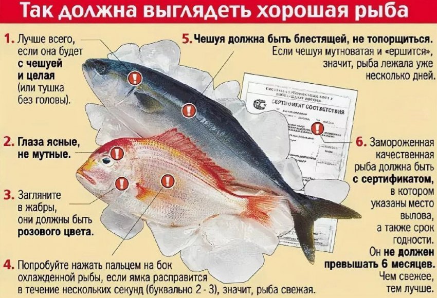 можно ли приготовить леща на углях. Смотреть фото можно ли приготовить леща на углях. Смотреть картинку можно ли приготовить леща на углях. Картинка про можно ли приготовить леща на углях. Фото можно ли приготовить леща на углях
