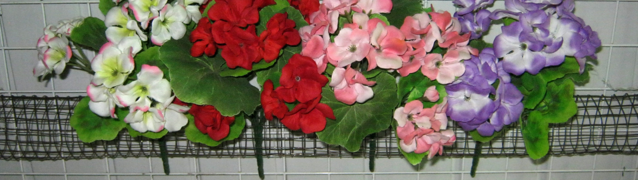 Чим же так корисна ефірна олія герані?