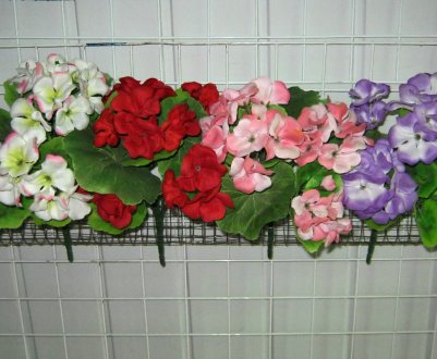 Чим же так корисна ефірна олія герані?