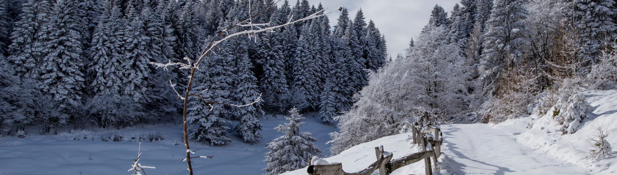 Хрестинні знаки для всіх, включаючи садівників і городників
