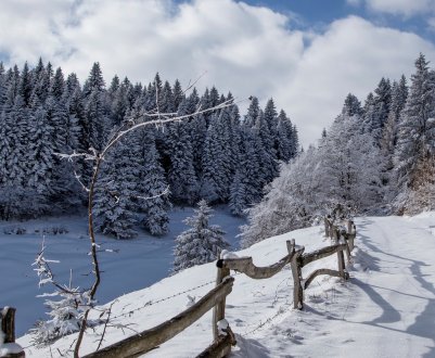 Хрестинні знаки для всіх, включаючи садівників і городників