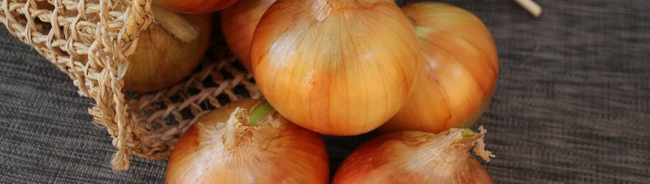 Неутішні результати 2019 р. Українські овочеводи зазнали збитків через погодні умови