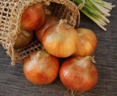 Неутішні результати 2019 р. Українські овочеводи зазнали збитків через погодні умови