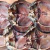 Как сделать таранку из карася в домашних условиях. Смотреть фото Как сделать таранку из карася в домашних условиях. Смотреть картинку Как сделать таранку из карася в домашних условиях. Картинка про Как сделать таранку из карася в домашних условиях. Фото Как сделать таранку из карася в домашних условиях
