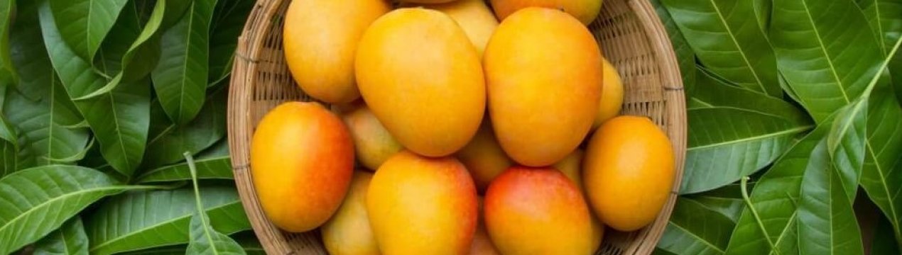 200 тисяч безкоштовних манго: австралійський фермер подарував врожай людям