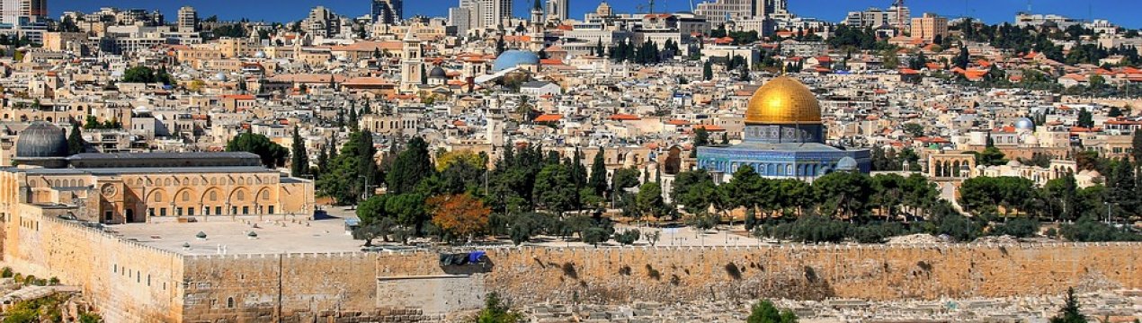 У 2019 році завдані садівництву Ізраїлю склав 69 мільйонів євро