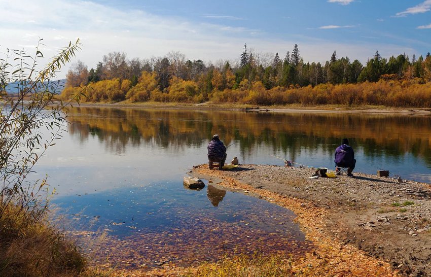 Ловля риби в листопаді