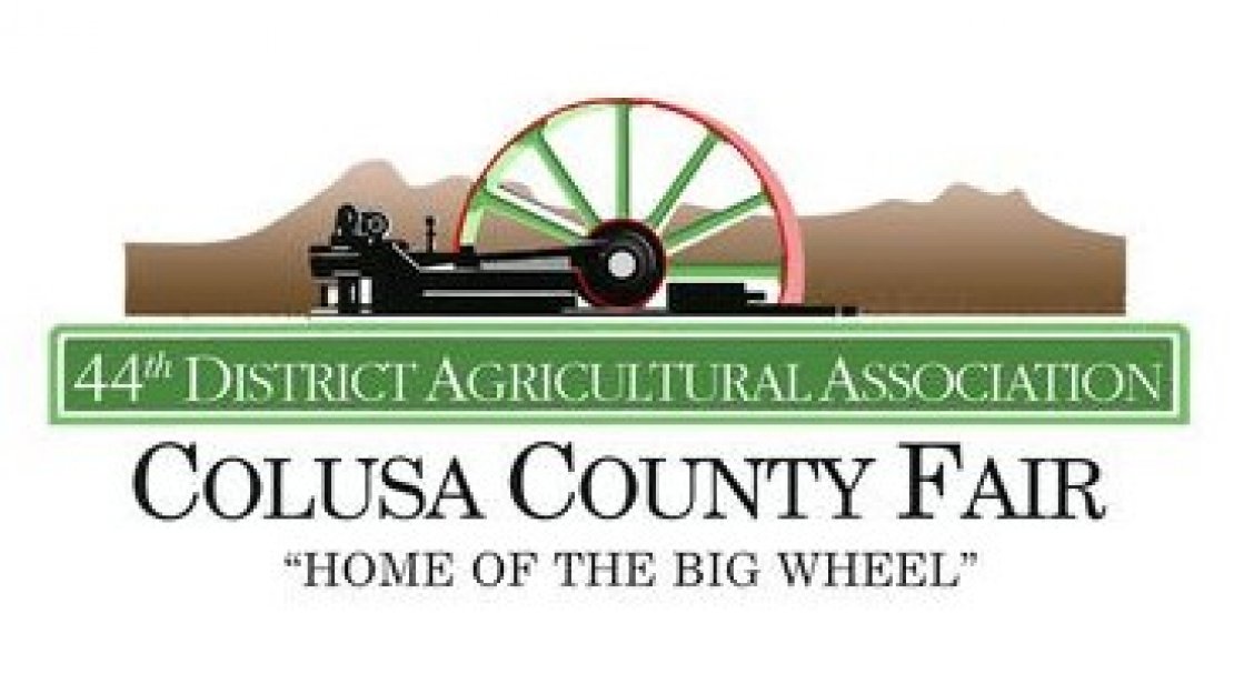 Colusa County Fair 2020