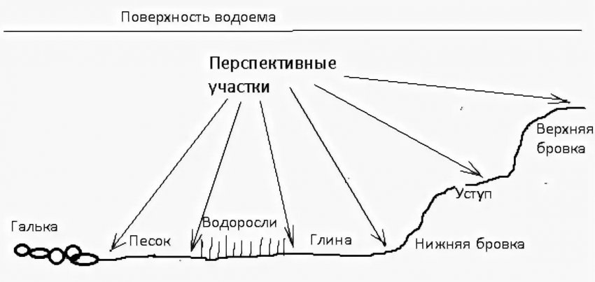 На что ловят жереха на кубани. Смотреть фото На что ловят жереха на кубани. Смотреть картинку На что ловят жереха на кубани. Картинка про На что ловят жереха на кубани. Фото На что ловят жереха на кубани
