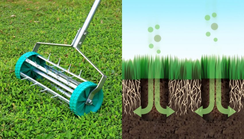 Аерація газону Аерація газону
