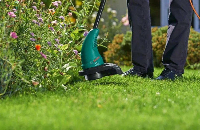 Стрижка квіткового газону Стрижка квіткового газону