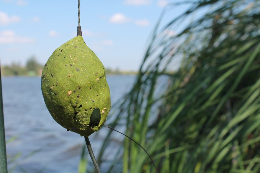 Наживка на білого амура