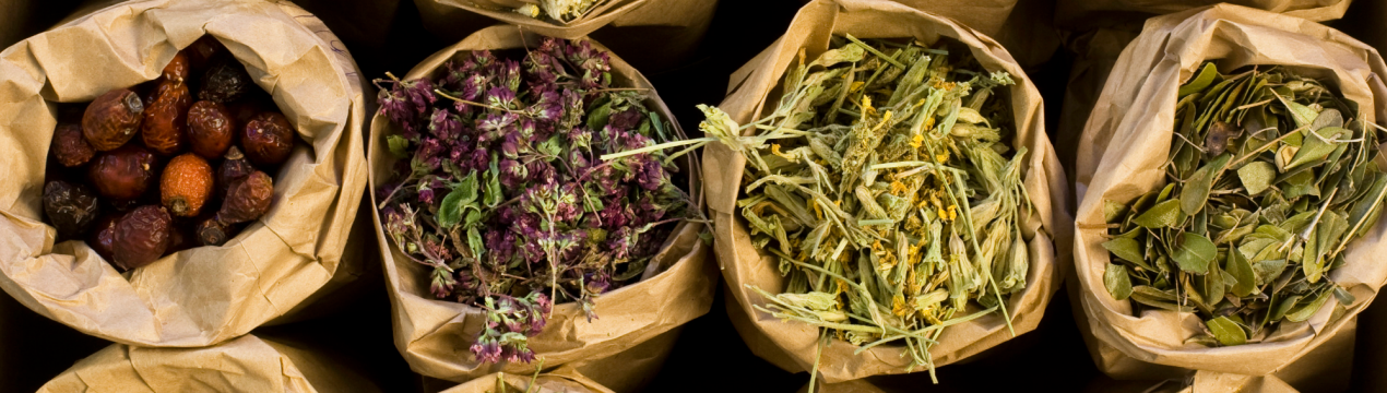 Лікарські трави за знаками Зодіаку