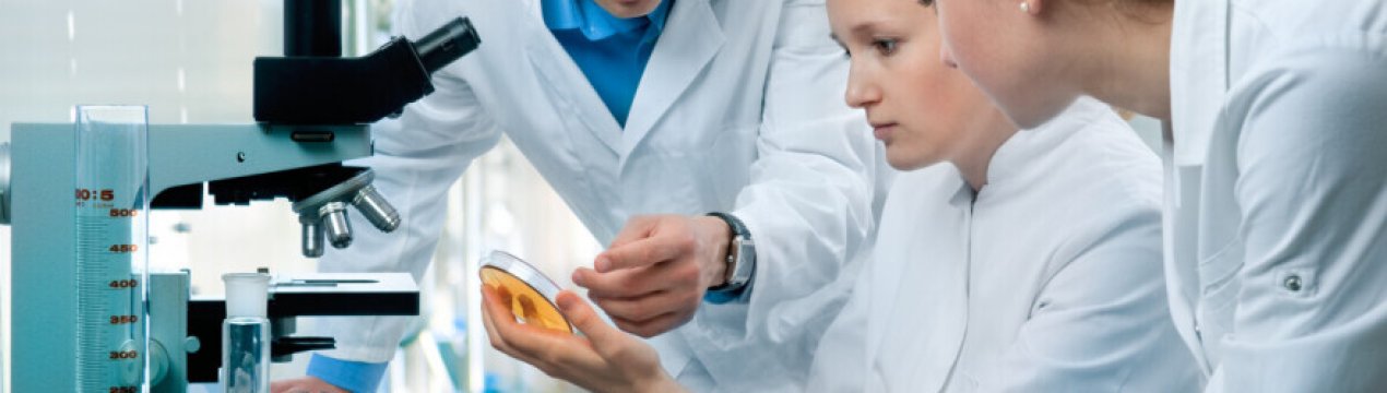 Розпад тваринництва? Фінські вчені навчилися робити їжу з повітря