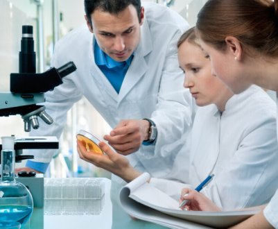 Розпад тваринництва? Фінські вчені навчилися робити їжу з повітря