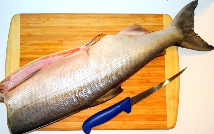 Кета Рыба Рецепты Вкусные С Фото