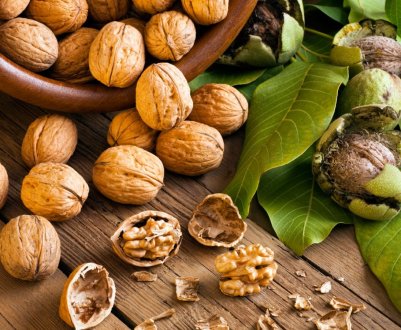 В Україні буде більше горіхових насаджень