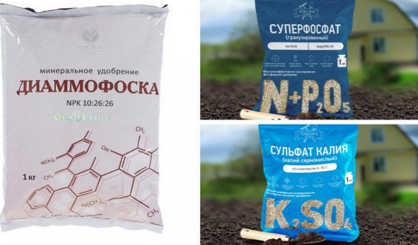 Підживлення для газону Підживлення для газону