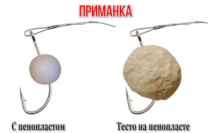 Как и на что ловить белого амура в пруду летом. Смотреть фото Как и на что ловить белого амура в пруду летом. Смотреть картинку Как и на что ловить белого амура в пруду летом. Картинка про Как и на что ловить белого амура в пруду летом. Фото Как и на что ловить белого амура в пруду летом
